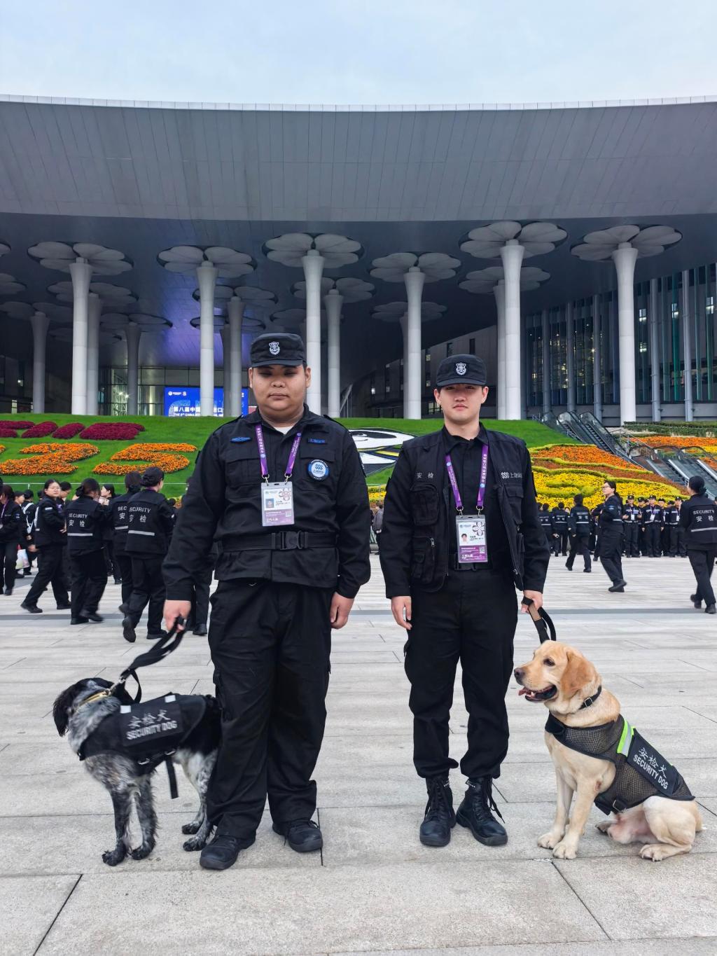 2D541